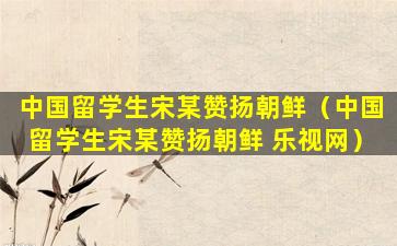 中国留学生宋某赞扬朝鲜（中国留学生宋某赞扬朝鲜 乐视网）